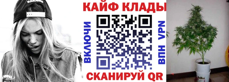 Какие есть наркотики Карабаново A-PVP  Гашиш  гидра зеркало  Codein  Канабис  КОКАИН  Псилоцибиновые грибы 
