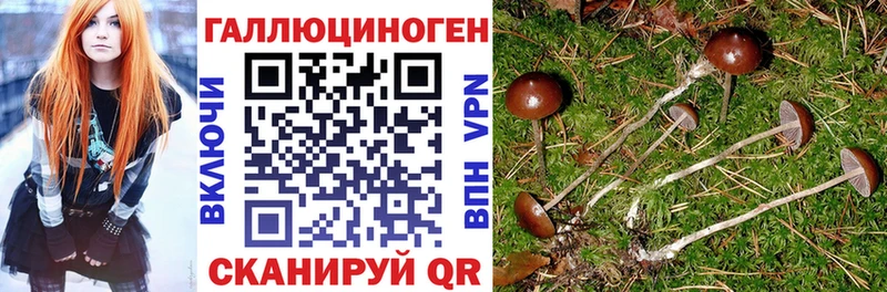Галлюциногенные грибы Magic Shrooms  наркотики  Карабаново 